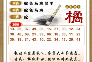 2025043期香港彩九肖30码中特