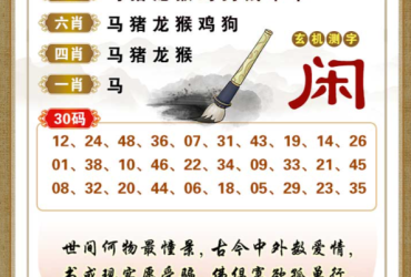 2025112期香港彩九肖30码中特